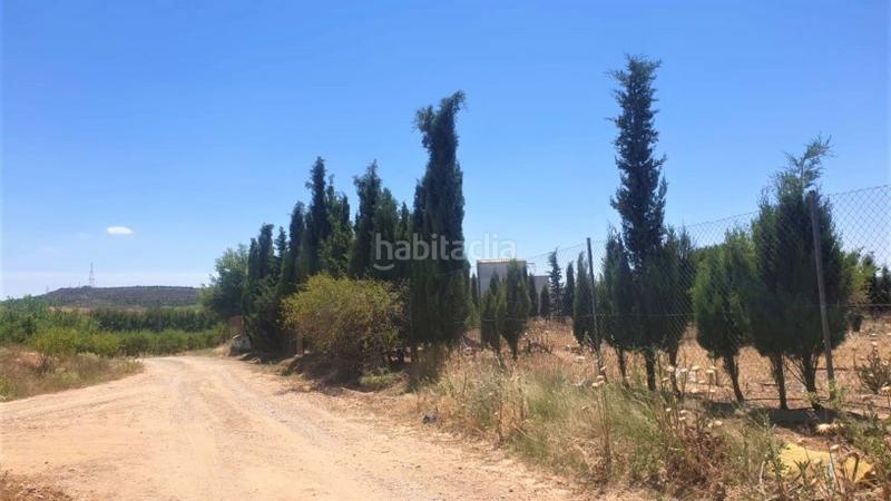 Foto 2a986763-75f6-4288-9803-2deb6bd48a32. Capannone industriale in tejares pg 9 pc 112 in Fuentealbilla