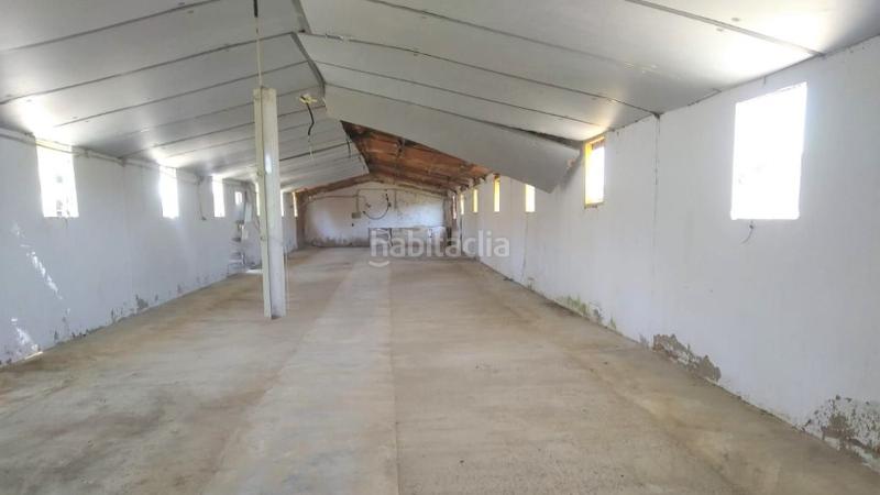 Foto 47574a14-34eb-48d2-9b3b-6e8c41ac2bf4. Capannone industriale in tejares pg 9 pc 112 in Fuentealbilla