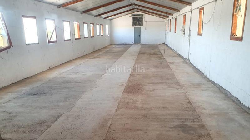 Foto 5cb257c7-dc0b-4802-a006-4560d1cb6c28. Capannone industriale in tejares pg 9 pc 112 in Fuentealbilla