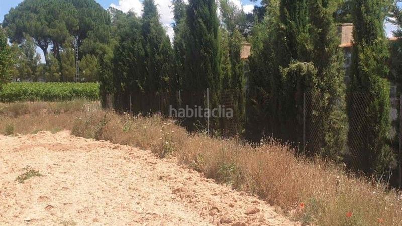 Foto 5e2dbe51-c905-469c-a001-1c1b31fda961. Capannone industriale in tejares pg 9 pc 112 in Fuentealbilla