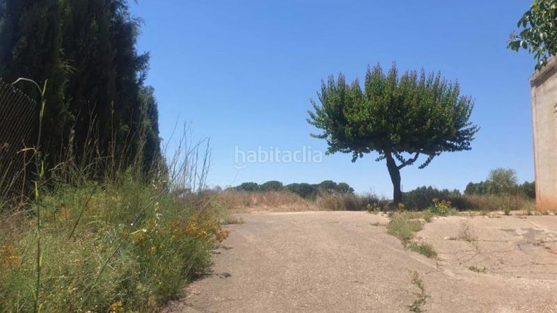 Foto 76ca0062-f819-4436-b696-a93fe8c3a3a2. Capannone industriale in tejares pg 9 pc 112 in Fuentealbilla