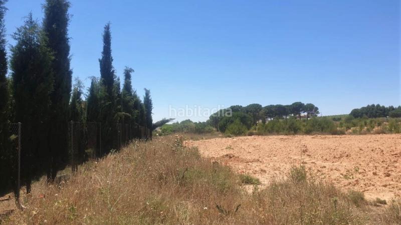 Foto 8969ba88-2a05-4d98-8191-6e52f36fe083. Capannone industriale in tejares pg 9 pc 112 in Fuentealbilla