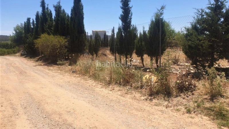 Foto bd8e11b0-a0f9-41a3-bfd9-2e77452a3c42. Capannone industriale in tejares pg 9 pc 112 in Fuentealbilla