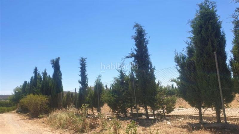 Foto d9c276b6-b15d-465d-93ce-40c19d93d93b. Capannone industriale in tejares pg 9 pc 112 in Fuentealbilla