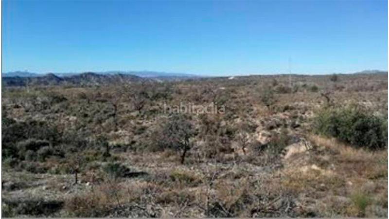 Foto 0c8c4b88-f5fe-43a4-9c3f-f1a30adb7fcf. Wohngrundstück in la gualda in Huércal - Overa