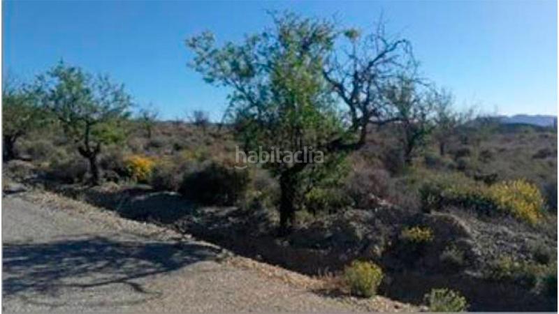 Foto 16ed29c1-961a-4292-9428-29d6ab1ae8bf. Wohngrundstück in la gualda in Huércal - Overa