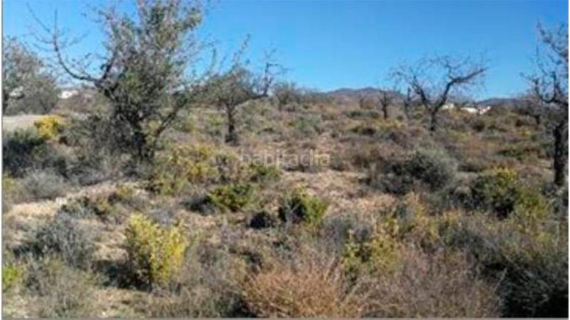 Foto 460bf499-1ff8-494a-a632-448fdf1e09ff. Wohngrundstück in la gualda in Huércal - Overa