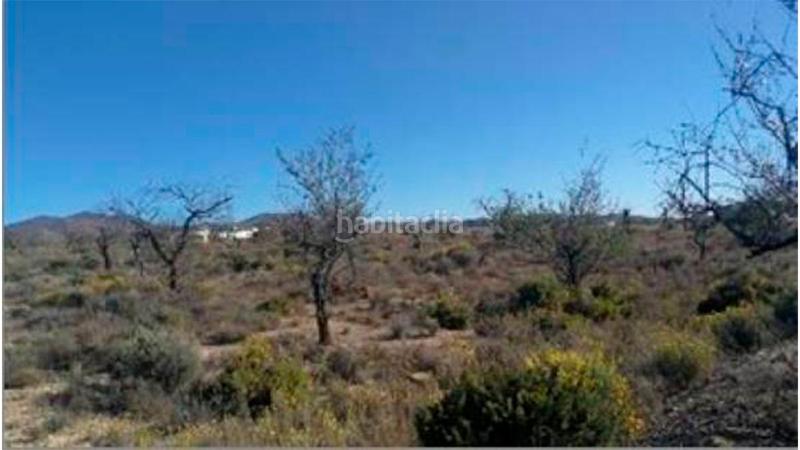 Foto 7873abab-1660-4098-b896-2ba8cb19c0f5. Wohngrundstück in la gualda in Huércal - Overa