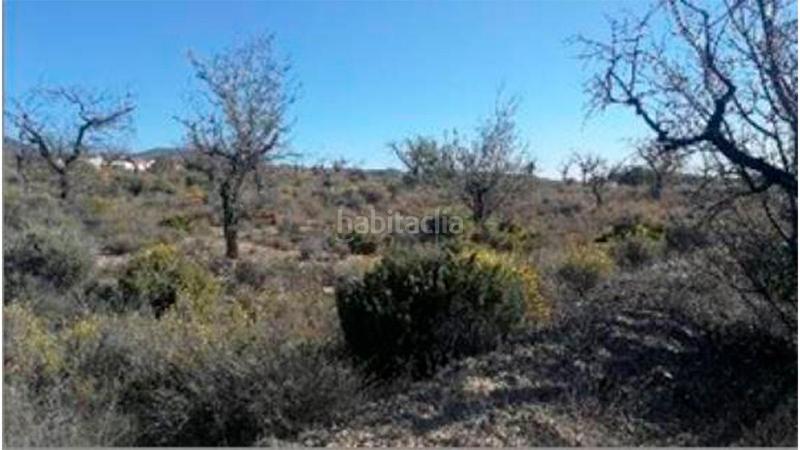 Foto 8827e384-6f85-4ad1-be4d-eab3f139c6c0. Wohngrundstück in la gualda in Huércal - Overa