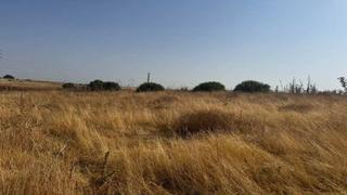Terreny residencial a Sitio el rozon. Huevar del aljarafe es un municipio sevillano a tan sólo 26 kms