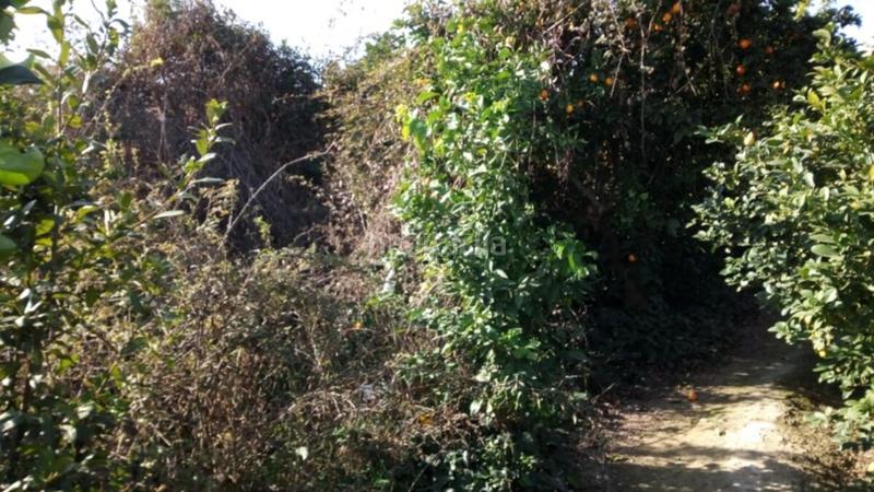 Foto 4e42ccfb-2177-4af2-aee3-878c08f56b62. Residential plot in lucios in Beniaján Murcia