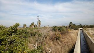 Terrain résidentiel à Lucios, junto acequia de beniaján. Tu suelo al mejor precio en venta en beniaján, a 7 km del centro