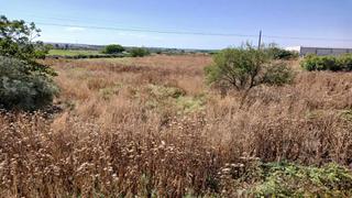 Wohngrundstück in Puigverd 9. Tu suelo al mejor precio en venta en juneda lérida. se trata de