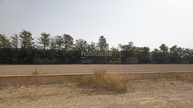 Foto 3bbd3086-9fb5-44dd-81c7-4dd7c769562d. Terreny residencial a vereda enmedio a El Raal Murcia
