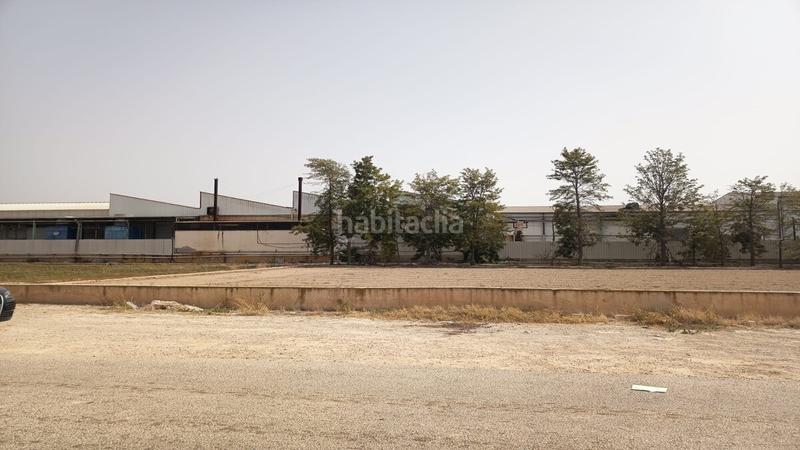 Foto c8208be1-95da-4d2d-8bd9-1ba267b26a1b. Terreny residencial a vereda enmedio a El Raal Murcia