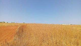 Residential Plot in Pago de el palomar, poligono 44. Oportunidad para comprar tu suelo! aprovecha esta magnífica opor