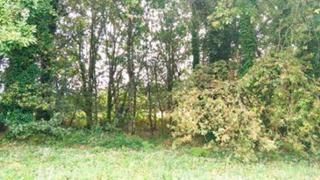 Terreny residencial a Raices, 40 (par 22). Suelo ubicado en lugar raices, n 40  42   parcelas 22 y 23 ames