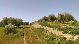 Terreny residencial a Sitio los calabozos. Suelo al mejor precio en venta en torredonjimeno jaén. necesitas