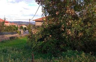 Terreny residencial a Cerrazo. Tu suelo al mejor precio en venta en reocín cantabria. se trata