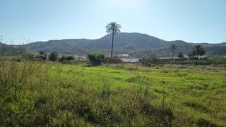 Terreny residencial a Diseminado rambla puerto del garruchal. Conjunto de 6 suelos en venta al mejor precio en el paraje puert