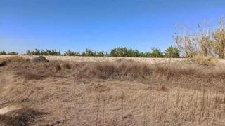 Terrain résidentiel à Diseminado rambla puerto del garruchal. Conjunto de 6 suelos en venta al mejor precio en el paraje puert