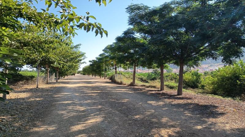 Foto 64fab432-e6e0-46c9-b718-54ea03952ec9. Terreno residenziale in diseminado rambla puerto del garruchal in Murcia