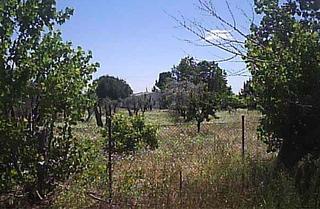 Terreny residencial a El olivar 2. Tu suelo al mejor precio en venta en brunete madrid. se trata de