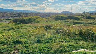 Terreny residencial a Sector a-01 camino de alarcos 98. Suelo en venta al mejor precio en miguelturra ciudad real. cuent