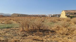 Terreny residencial a Sector 2. Catorce parcelas resultantes de uso residencial 13 adosadas y 1