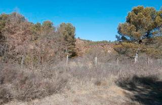 Residential Plot in 65 parcelas 26 y 42 65. Tu suelo al mejor precio en venta en jaca huesca. se trata de su