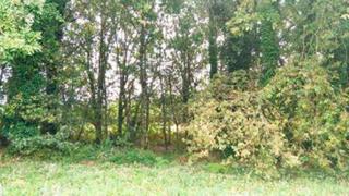 Wohngrundstück in Raices, 42 (par 23). Suelo ubicado en el paraje conocido como s09 raices en el términ