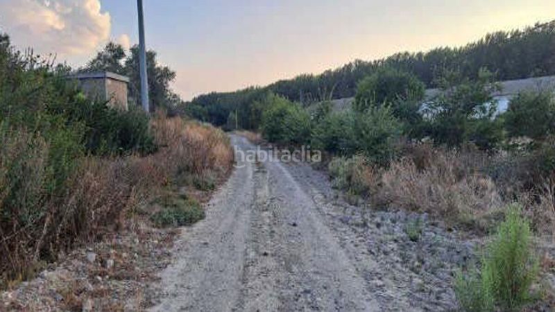 Foto 3fc17e55-7957-4d40-9c67-0b2071cf450d. Terreny residencial a las contiendas a Azucarera Tudela