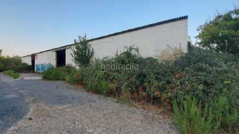 Foto b23a56b1-880b-4e2e-b635-baafa881708b. Terreny residencial a las contiendas a Azucarera Tudela