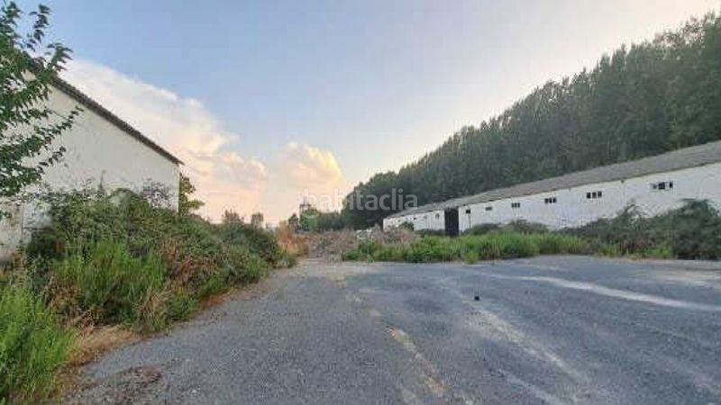 Foto ba7ae568-a717-4770-8a31-79f4b4ec9cf7. Terreny residencial a las contiendas a Azucarera Tudela