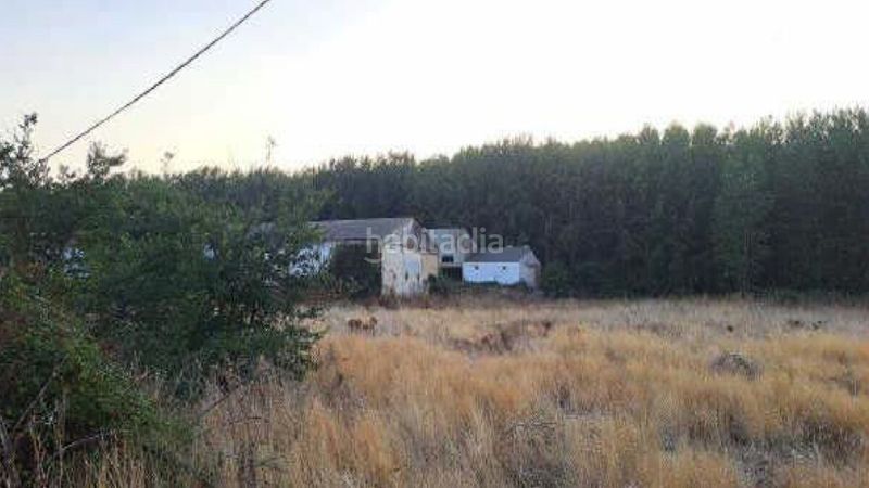 Foto ccedc80a-3ec4-4a1b-a4e8-cfc24db66278. Terreny residencial a las contiendas a Azucarera Tudela