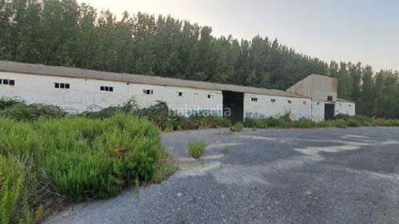Foto ce76ec9b-6d96-41d1-95a7-483ad6176948. Terreny residencial a las contiendas a Azucarera Tudela