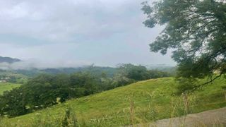 Residential Plot in Piñoleta, pg. 137. Parcela rústica en venta en  la localidad de nava en asturias. c