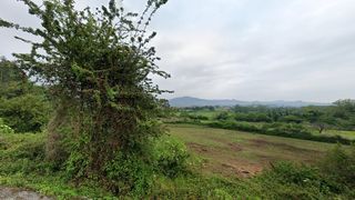 Residential Plot in La pincela, pg 98. Oportunidad para comprar tu suelo! aprovecha esta magnífica opor