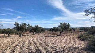 Terreno residencial en Collados. Oportunidad para comprar tu suelo! aprovecha esta magnífica opor
