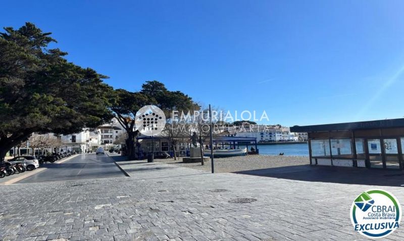 Foto 41b4e44f-9a0d-4aac-8bf5-2c38ab0760af. Apartament a avenida caritat serinyana a Cadaqués