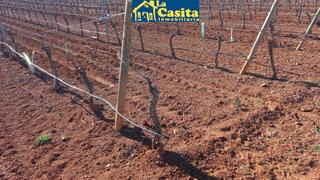 Finca rústica a Pozuelo de Calatrava. Se vende finca de 115 hectáreas