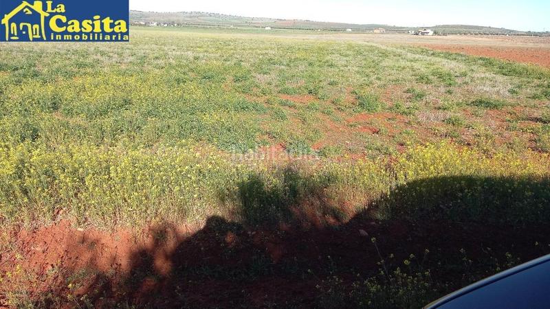 Foto 233c94de-2c21-46c1-bc69-1e8be646fc81. Fondo rustico in Almagro