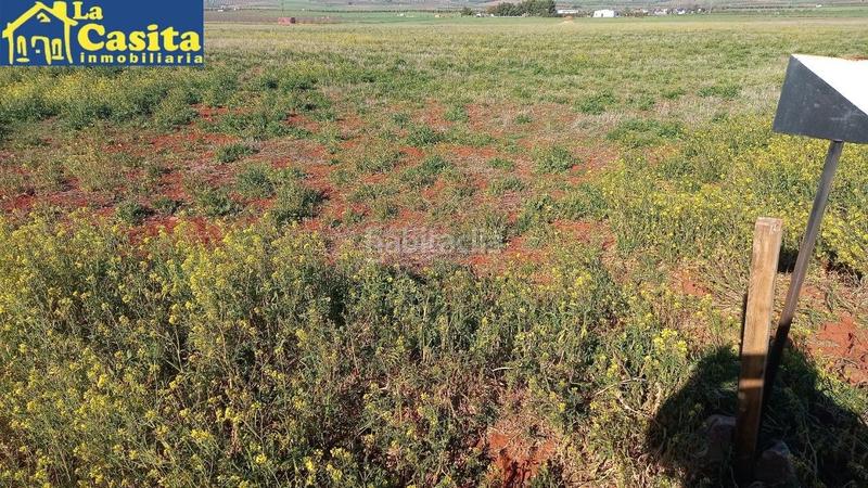 Foto 42f13555-d161-4233-8f8c-a86a9f35d6ce. Fondo rustico in Almagro