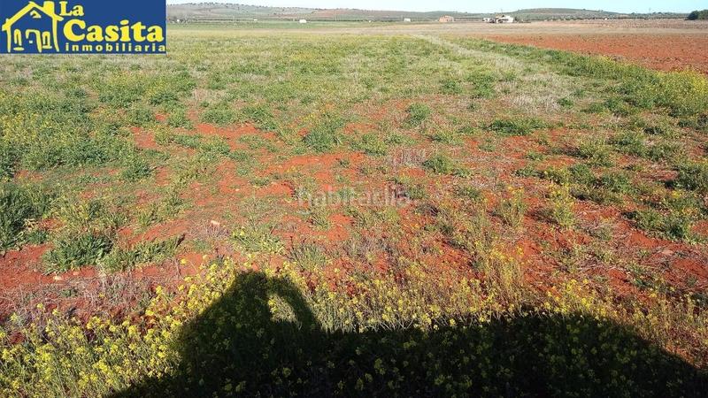 Foto 6cc712e7-ea0a-4837-84bc-40321897307f. Fondo rustico in Almagro