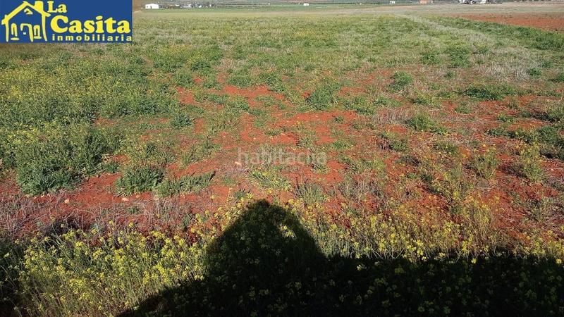 Foto 86c90964-5451-4622-9fee-3e9c03893499. Fondo rustico in Almagro