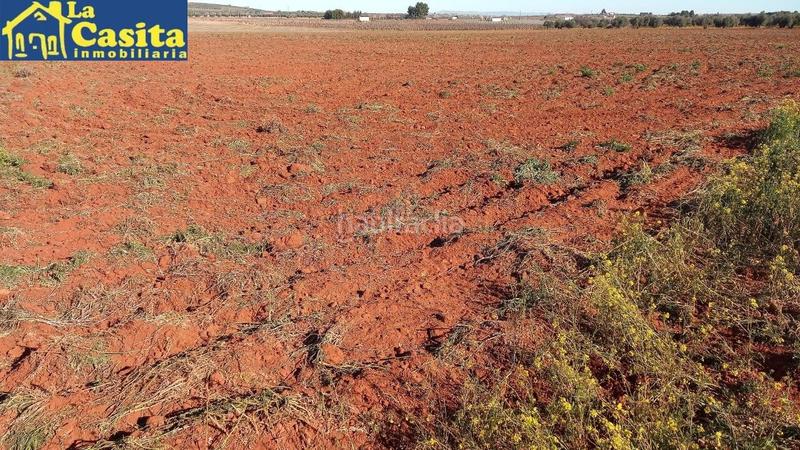 Foto bc4d00c8-3dac-4b6f-8ab4-835e9355df77. Fondo rustico in Almagro