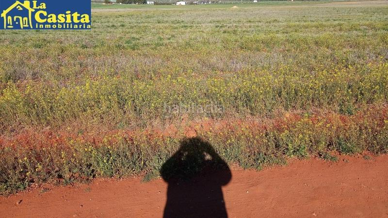 Foto f7196ee4-5430-4e3e-aa78-09eede56c627. Fondo rustico in Almagro