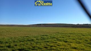 Finca rústica  Camino del moral. Finca cerca de almagro
