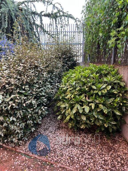 Foto 518b628f-881d-4ec3-b12c-32e345822c2d. Casa se vende chalet en Cirueña