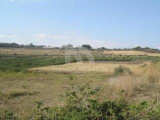 Finca rústica  Calle principal polígono industrial. Oportunidad única en picassent! lote de suelos rústicos y en des